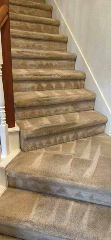 carpet cleaning services essential from our company