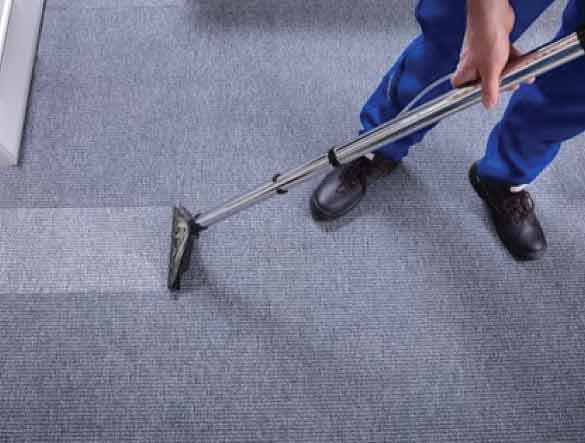 same day carpet cleaning services